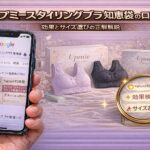 アップミースタイリングブラの知恵袋の口コミ！効果とサイズ選びの正解解説