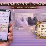 アップミースタイリングブラでFカップはきつい？サイズ感と選び方の正解解説
